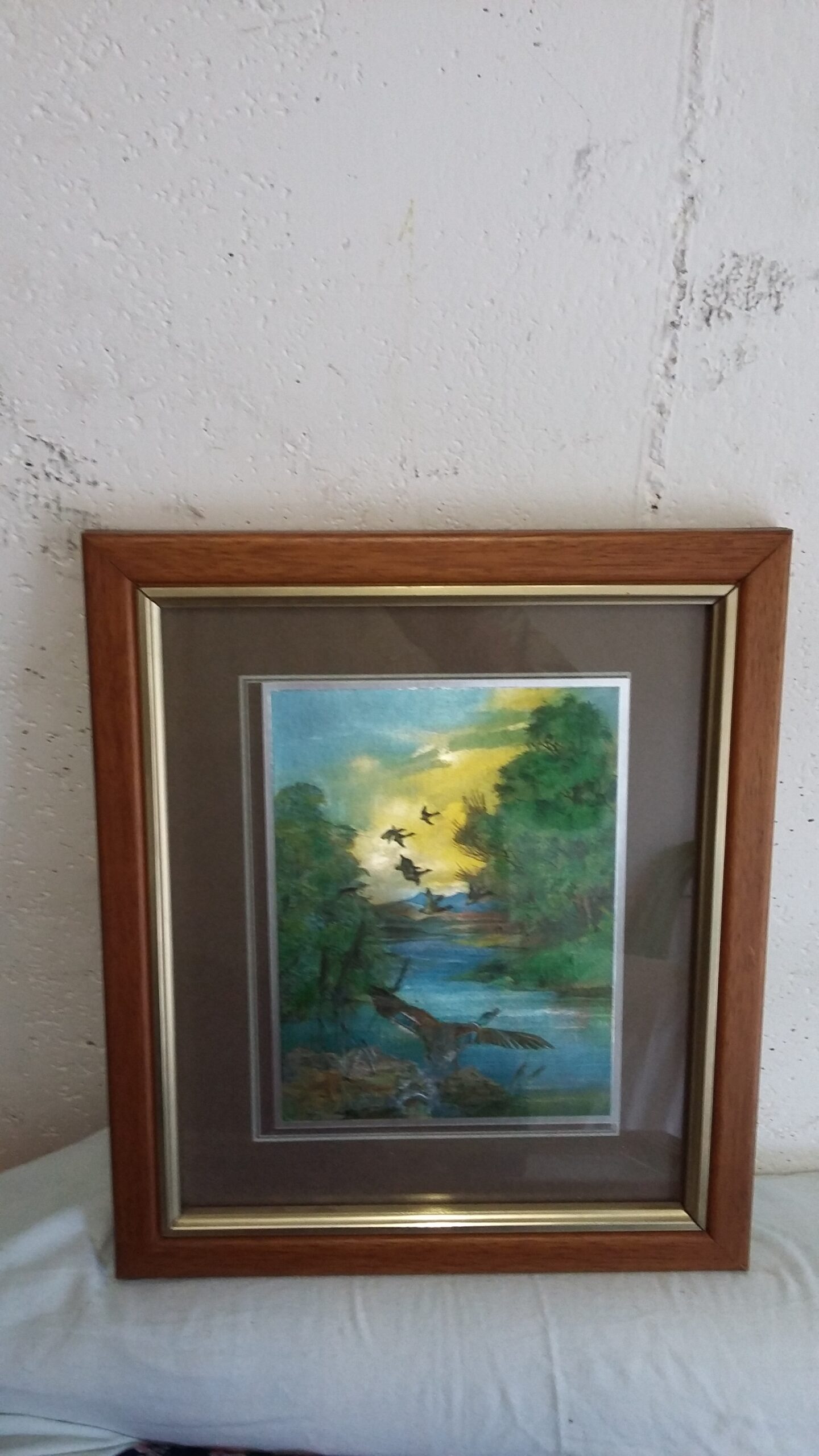 5 BELLE STAMPE COLORATE