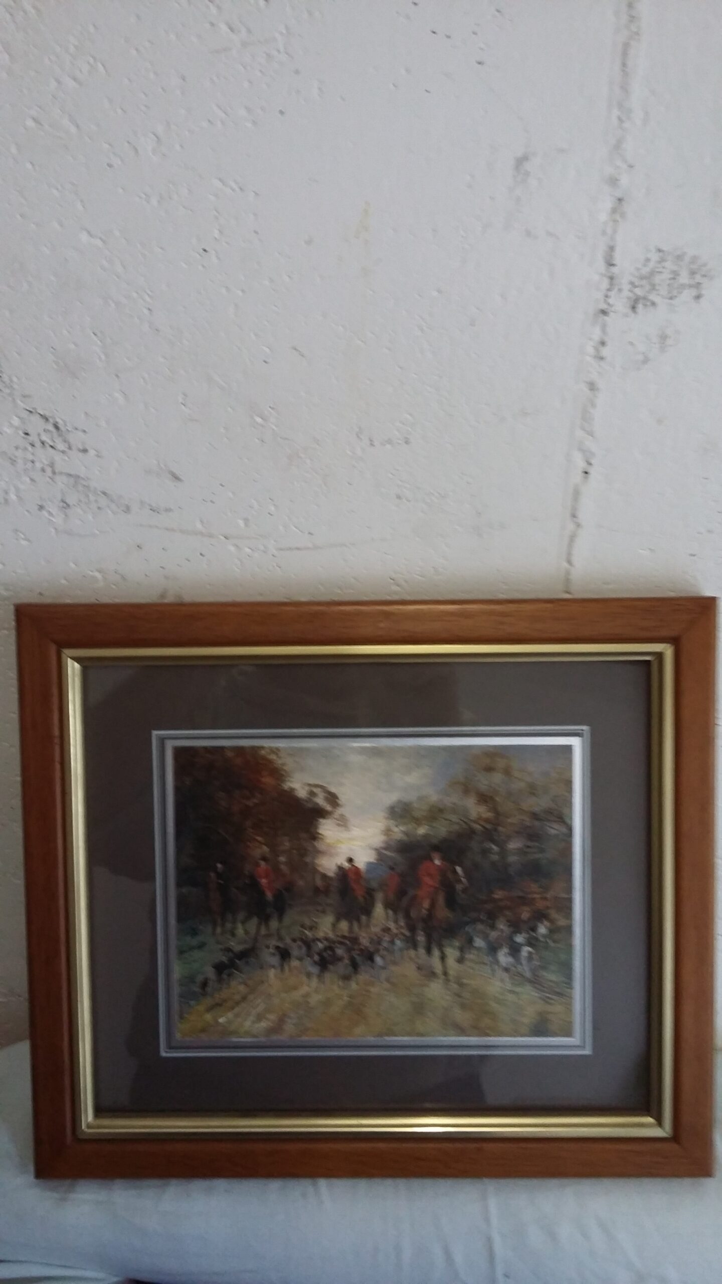 5 BELLE STAMPE COLORATE