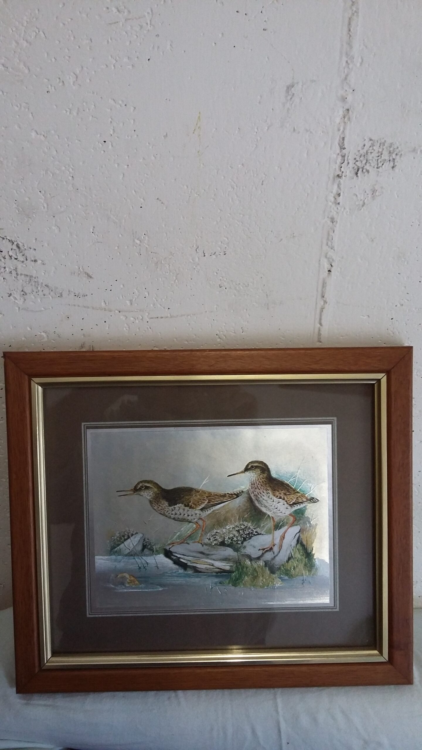 5 BELLE STAMPE COLORATE