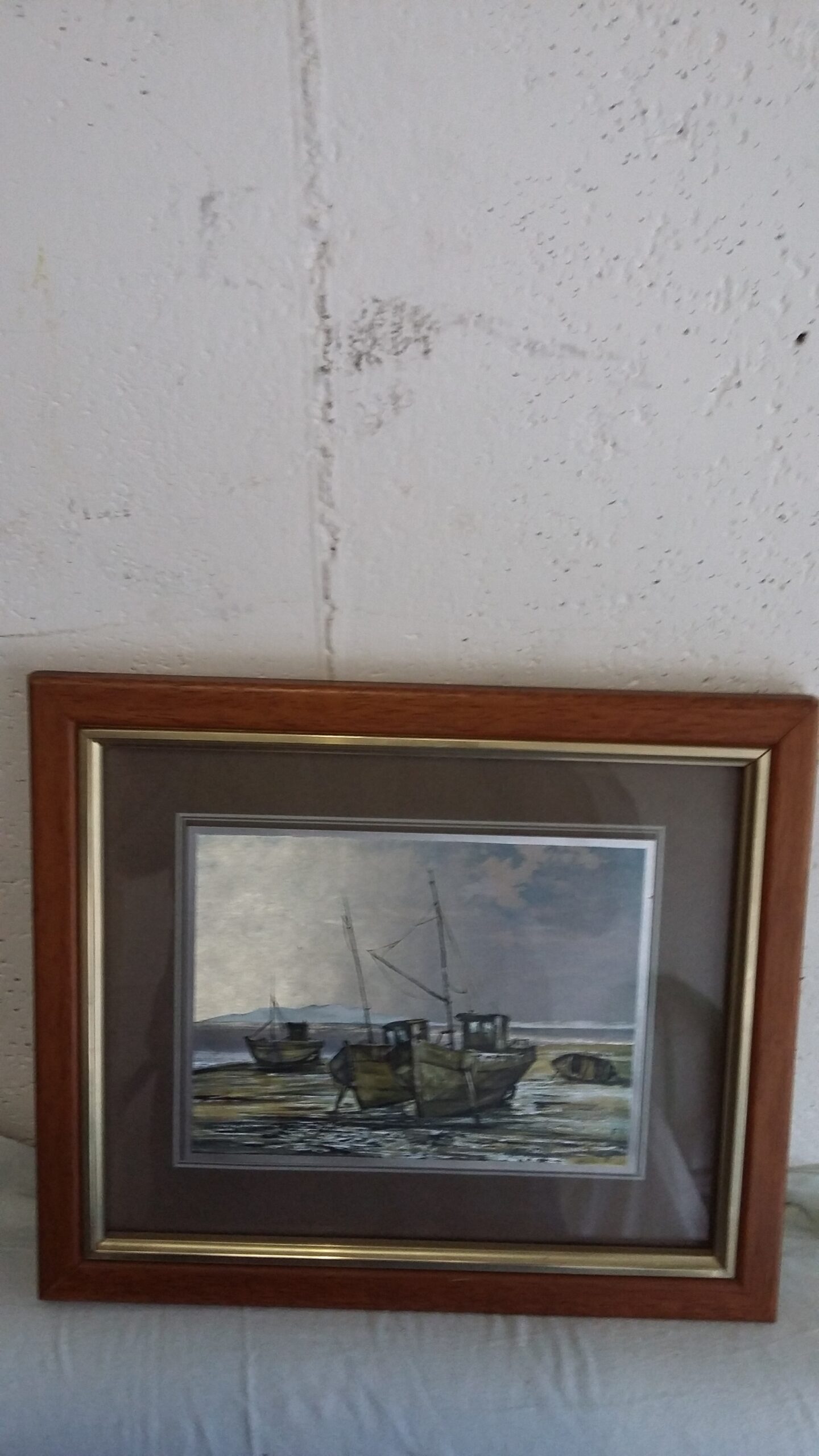 5 BELLE STAMPE COLORATE