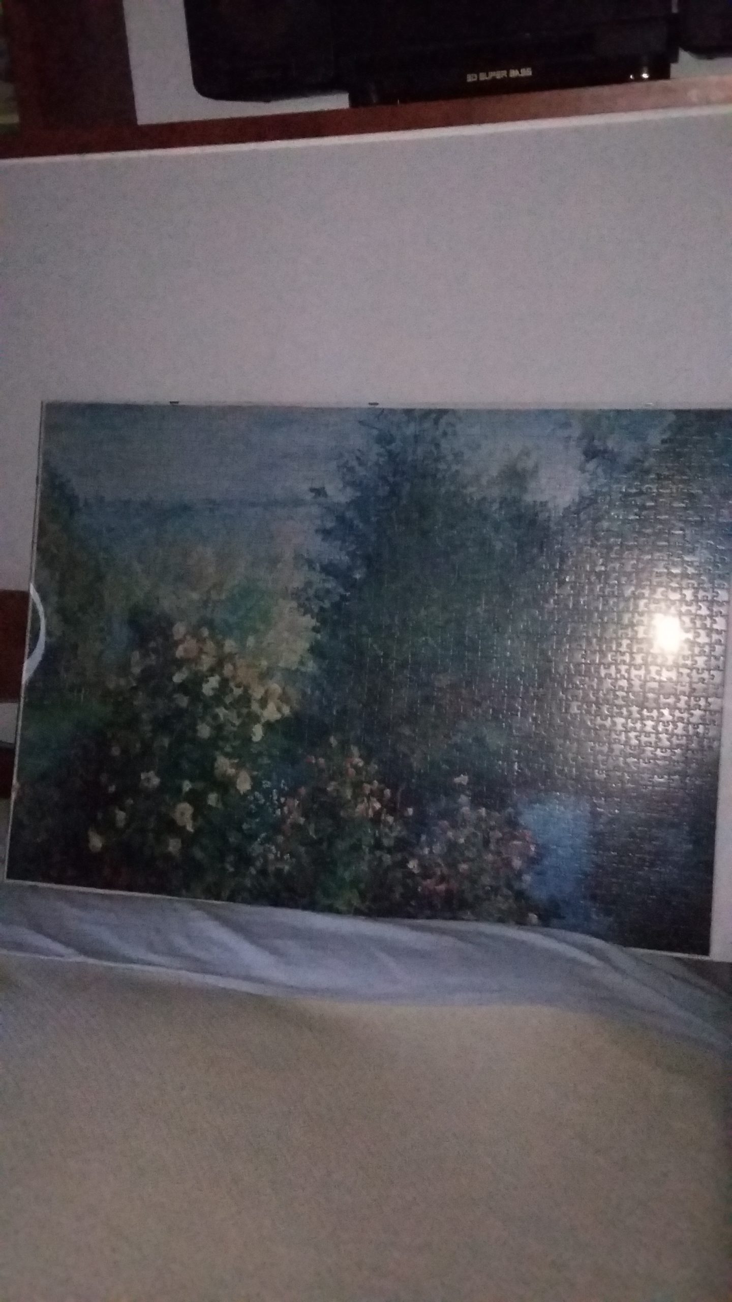 GRANDE PUZZLE, COPIA DI RENOIR