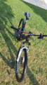 MTB RIBOT