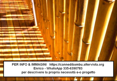 1-canne-di-bambu-bamboo-bambu