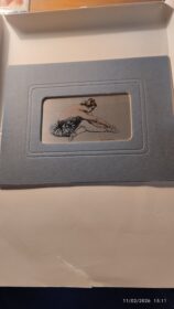 IMG_20260211_151103