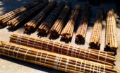 Canne di bambù bambu bamboo