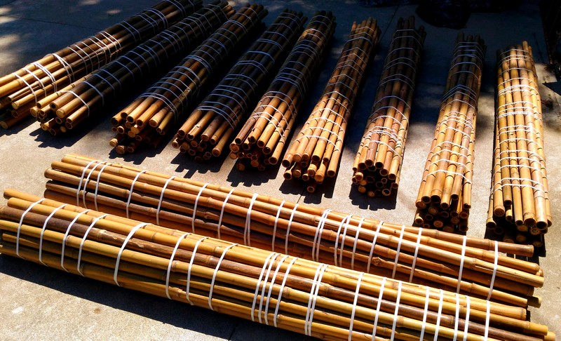 Canne di bambù bambu bamboo