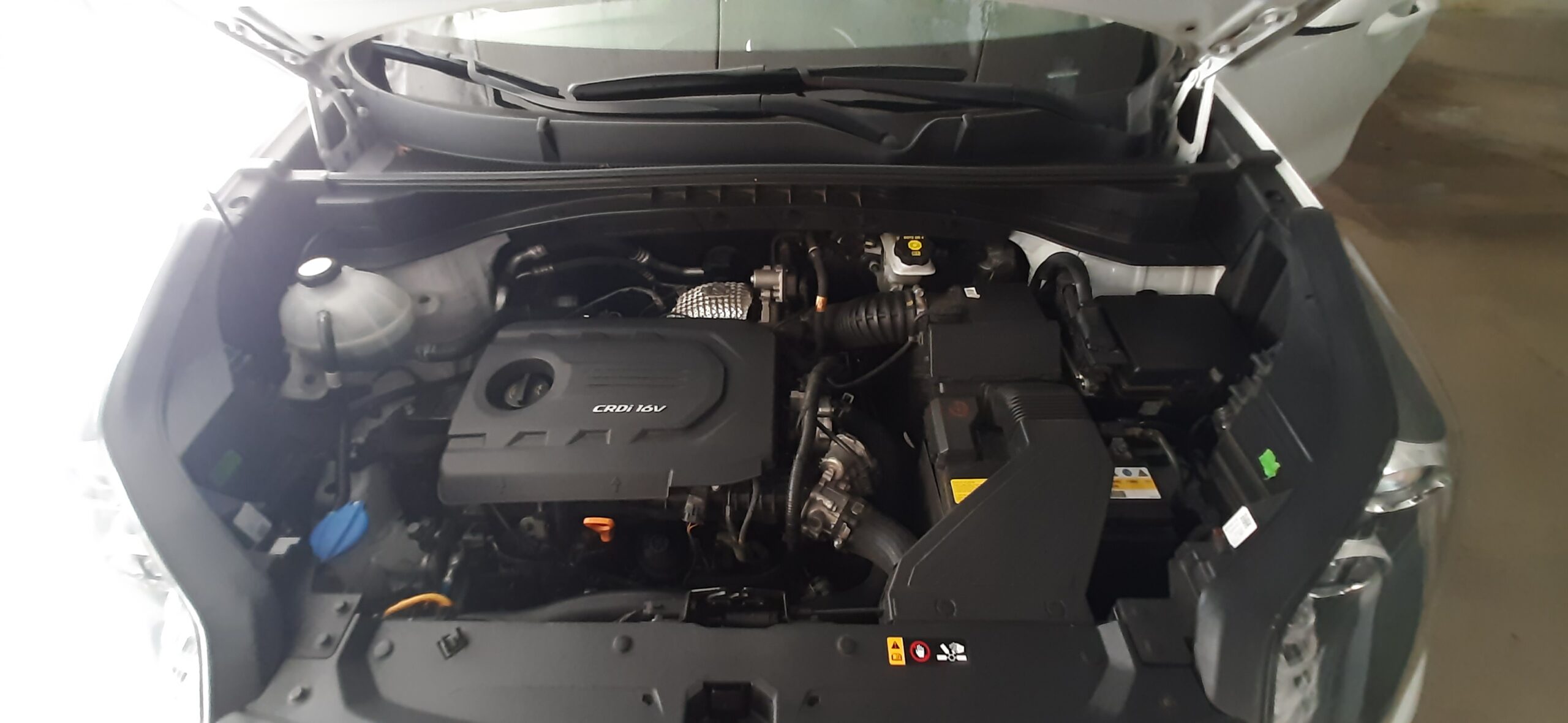 Kia Sportage 1.7 crdi 116cv