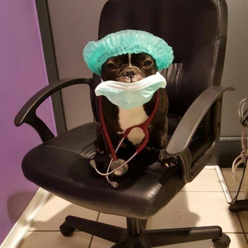 17388960_1635077093173502_1411489293574184668_o