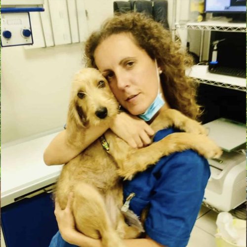 ISTANTANEE_airone sophia