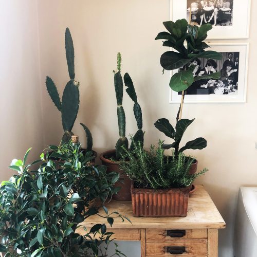 ISTANTANEE_santarosa_5