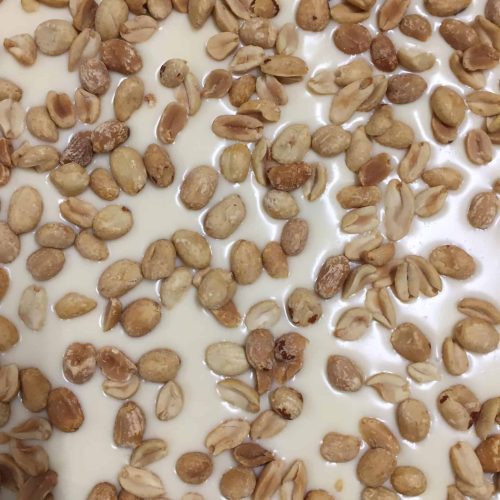 ISTANTANEE_santarosa_7