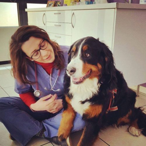 lapiazzaelira_istantanee_clinica-veterinaria-airone_profilo