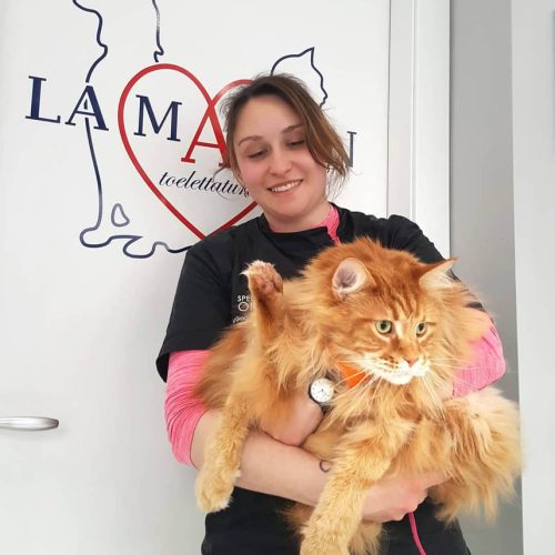 llapiazzaelira_instantanee_la-maison-toelettatura_gallery-1