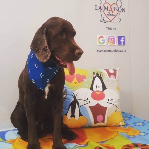 llapiazzaelira_instantanee_la-maison-toelettatura_gallery-2